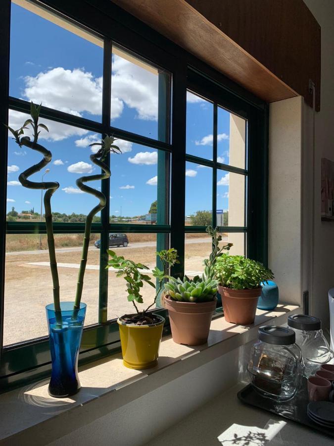 Casa Mineira Guest House Ferreiras Dış mekan fotoğraf