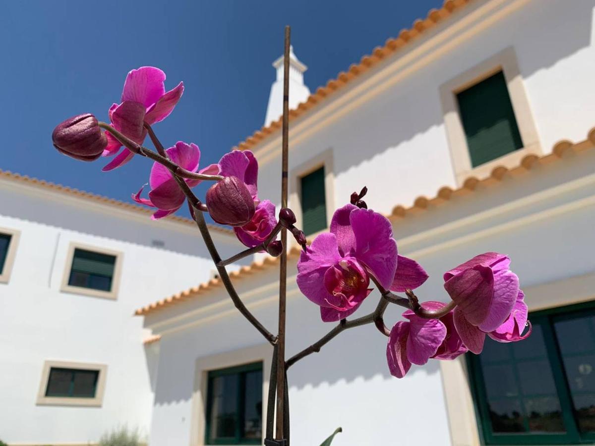 Casa Mineira Guest House Ferreiras Dış mekan fotoğraf