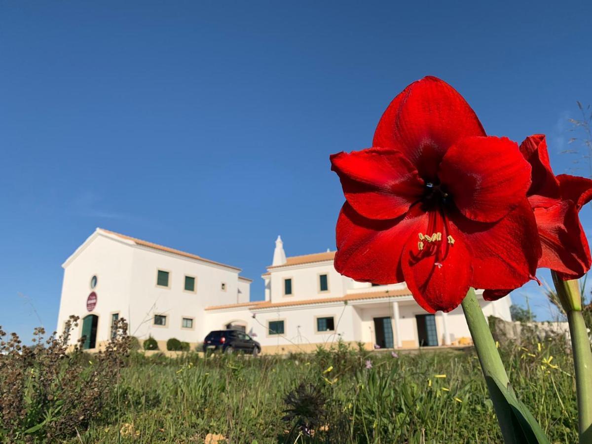 Casa Mineira Guest House Ferreiras Dış mekan fotoğraf